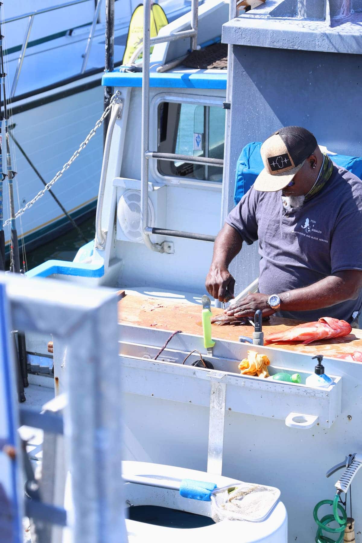 A charter skipper filleting red snapper, using local knowledge to keep a fish safe to eat