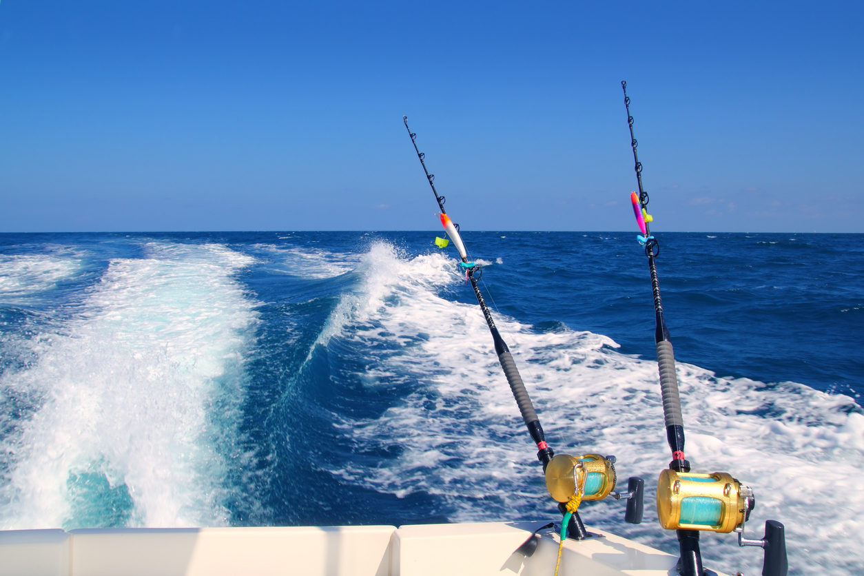 Trolling rods off the back of a fishing boat