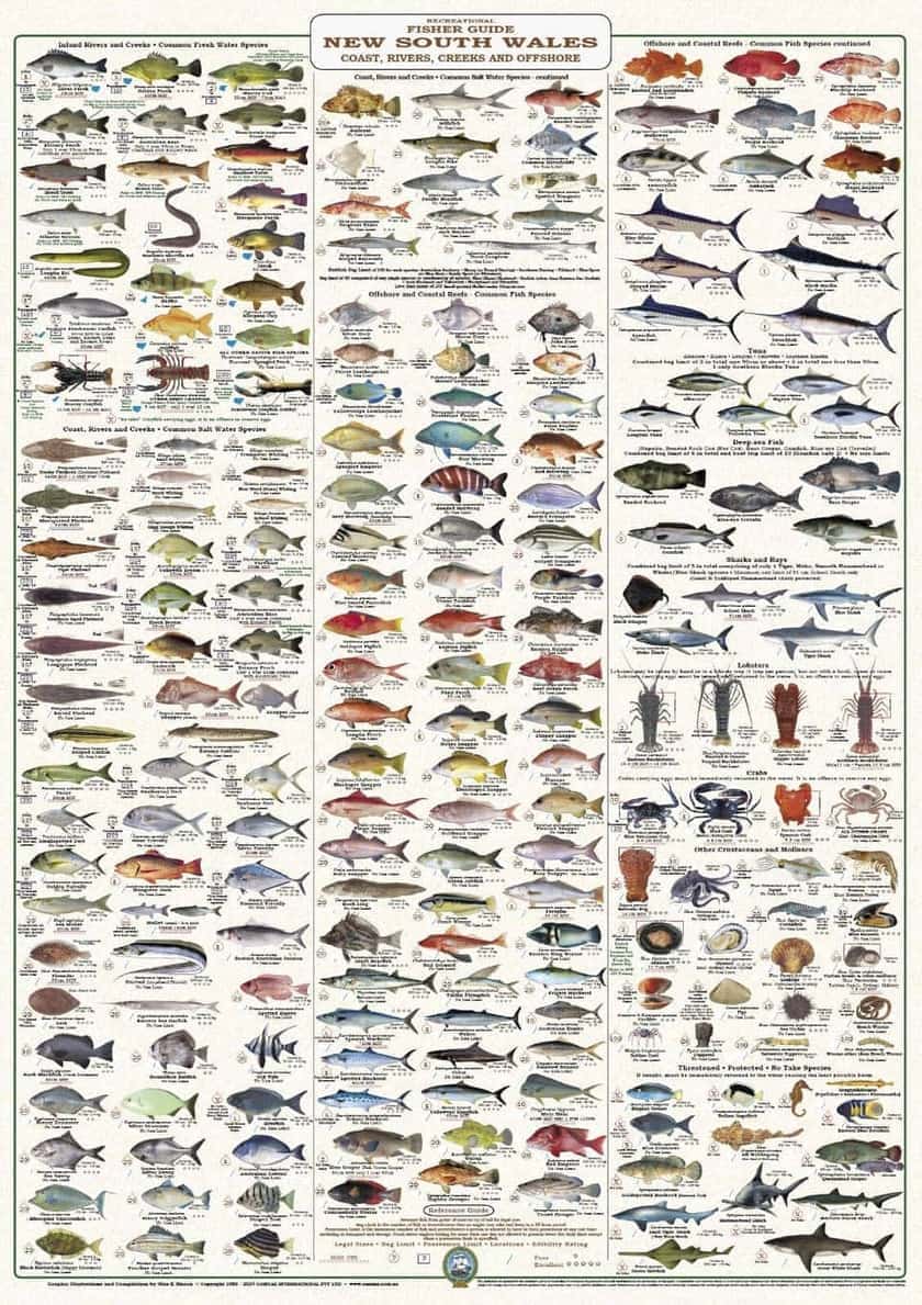 A worn, dog-eared NSW fish identification field guide